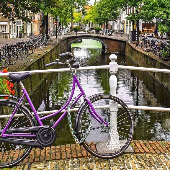 Study in the Netherlands - Short Term Programs